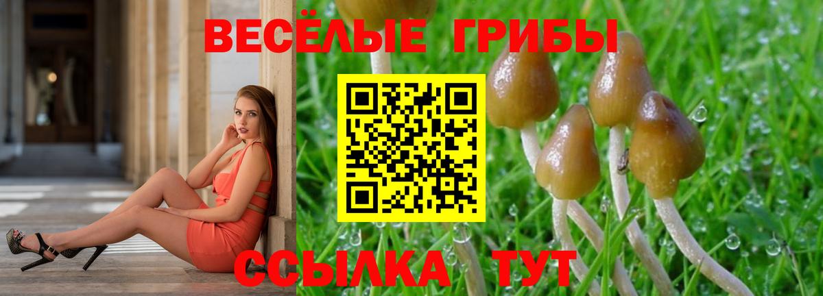 Псилоцибиновые грибы Psilocybine cubensis  Вход с VPN  Заводоуковск 