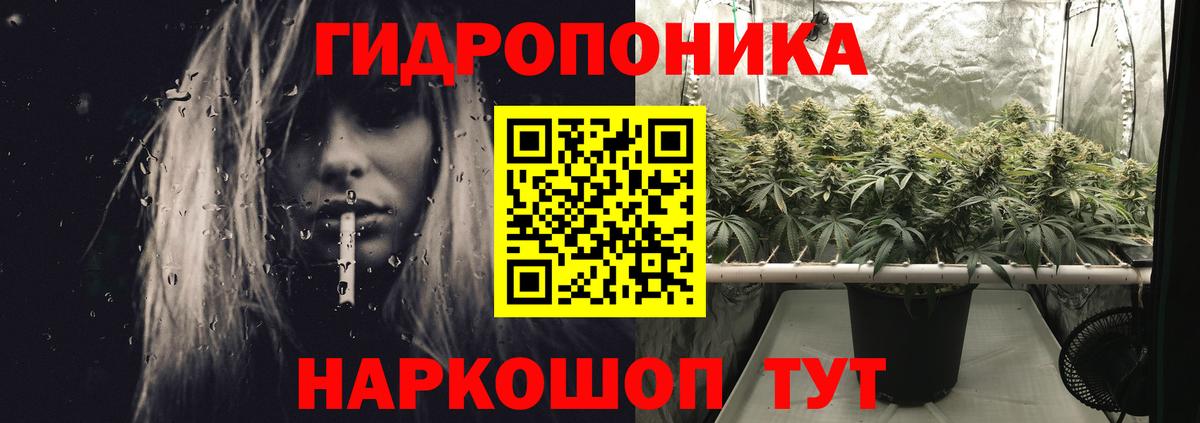 Каннабис конопля Заводоуковск